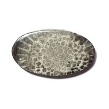 13.51 Carats TCW 100% Natural Beautiful Black Fossil Coral Oval Cabochon Gem by  - £10.83 GBP