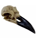Corvus Alchemia Raven Crow Skull Resin Statue Decor V16 Alchemy Vault 6.... - £18.04 GBP