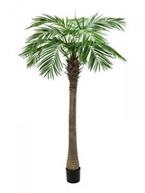 EUROPALMS Phönixpalme Luxor, Artifical Plant,94 1/2in - £266.38 GBP