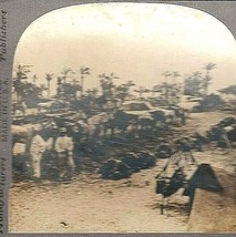 WW1 Dardanelles Expedition Campaign African Camp Vintage 1915 Stereoview Card  - £11.33 GBP