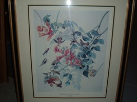 Audubon Ruby throated Humming engraved by Harvell 1828 plate 47 # 10 33&quot; x 38&quot; - £1,586.56 GBP