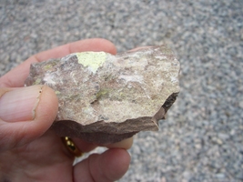 Item image 14