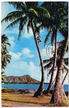 Postcard Climber Agile Native Lad For Coconuts Waikiki Diamond Head Hawaii - £3.09 GBP