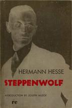 Steppenwolf [Paperback] [Jan 01, 1966] HERMANN HESSE - $2.87
