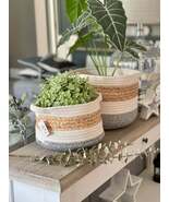 Stripe Natural Baskets - Set of 2 - $1,345.54 MXN