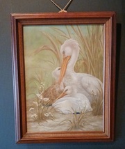 Pelican Family - Oil on Canvasboard 1970s - £458.71 GBP