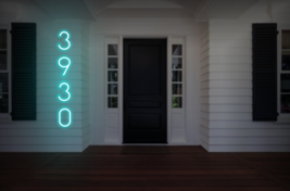 3930 | LED Neon Sign - $170.00