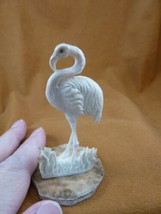 FLA-W1) little Flamingo shed ANTLER figurine Bali detailed carving love ... - $84.14