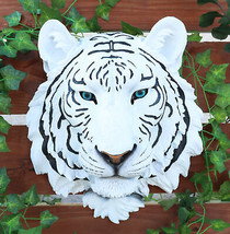 Rare Blue Eyed White Tiger Wall Bust Sculpture Blue Ice Predator Forest Figurine - £65.38 GBP