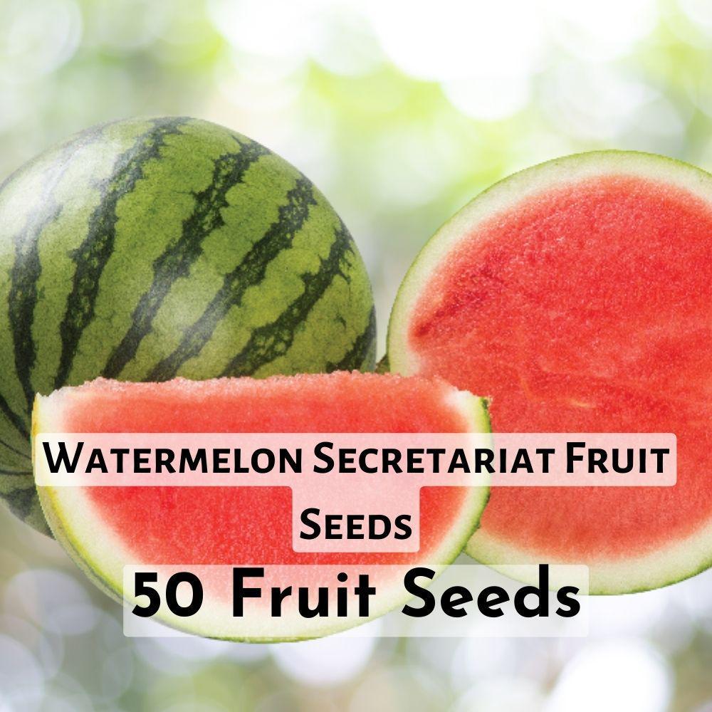 Secretariat (Seedless) Watermelon Fruit Seeds for Planting (50+ Fruit Se... - $11.90