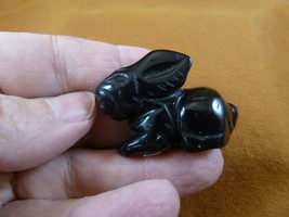 (Y-BUN-SI-579) little Black Onyx BUNNY RABBIT gemstone STONE figurine ge... - $18.69