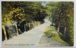 Macatawa Michigan Lover&#39;s Lane 1912 Holland Mich to Charlevoix Postcard T13 - £3.10 GBP