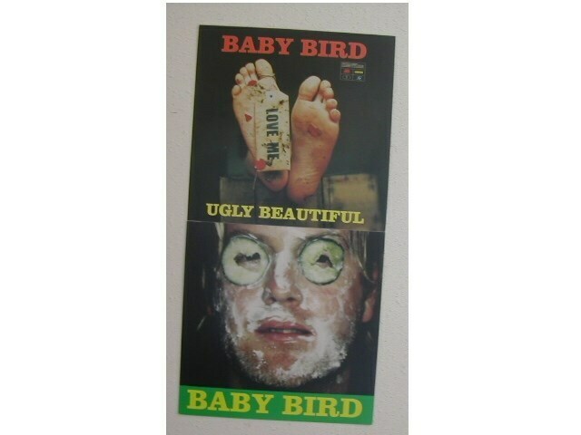 Bébé Oiseau Ugly Beau Affiche - $8.98