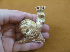(y-SNAI-411) gray red racer Snail gastropod GEM STONE carving SOAPSTONE ... - $14.72