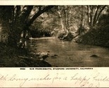 Vtg Postcard 1905 IDB San Francisquito Creek Stanford University CA Ed M... - $9.85
