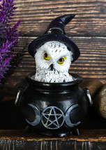 White Snowy Owl With Witch Hat In Black Triple Moon Pentagram Cauldron F... - £12.78 GBP