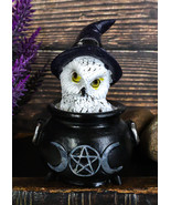 White Snowy Owl With Witch Hat In Black Triple Moon Pentagram Cauldron F... - $15.99