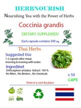 Coccinia grandis natural blood sugar support Ayurvedic remedies metaboli... - $184.14 MXN