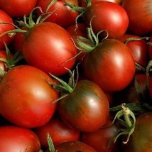 De Berao Braun Tomato Seeds Organic US Fast Shipping - $37.22 MXN