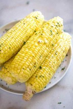 Guashi Store Corn Sweet Golden Bantam Heirloom 710&quot;&quot; Ears Abt 80 Days 42 Seeds - $8.99