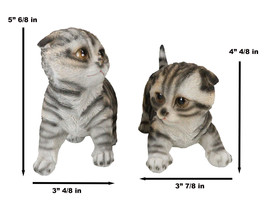 Pack of 2 Lifelike Adorable Playful Feline Gray Tabby Cats Kittens Figur... - $41.99