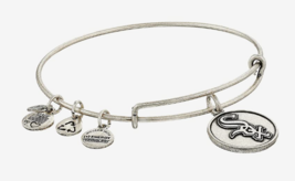 Alex and Ani CHICAGO WHITE SOX CAP LOGO Silver Finish New Charm Bangle B... - £69.30 GBP