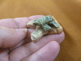 (Y-TUR-LA-110) baby GREEN serpentine Turtle FIGURINE gemstone branch carving - £7.50 GBP
