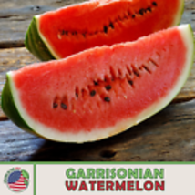 Garrisonian Watermelon Seeds, Heirloom, Non-GMO, Genuine USA 10  Seeds - £8.98 GBP