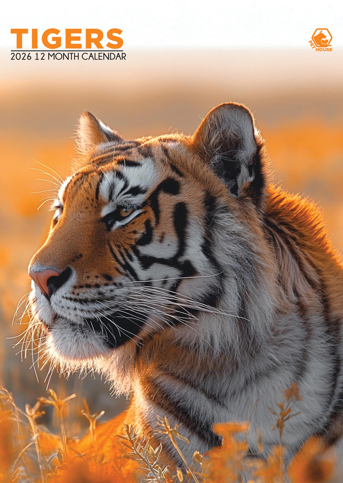 Tigers Calendar 2026 - $19.99