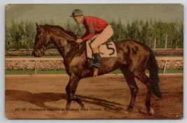 Horses Champion Citation at Hialeah Race Course Miami Florida Postcard D25 - £5.50 GBP