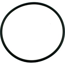 Pentair 354533 O-Ring Lid for Sta-Rite Dynamo Aboveground Pool Pump - £13.64 GBP