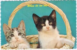 Postcard Cute Two Kittens In Basket When Do We Eat Long Point Beach Fort Erie ON - £2.33 GBP