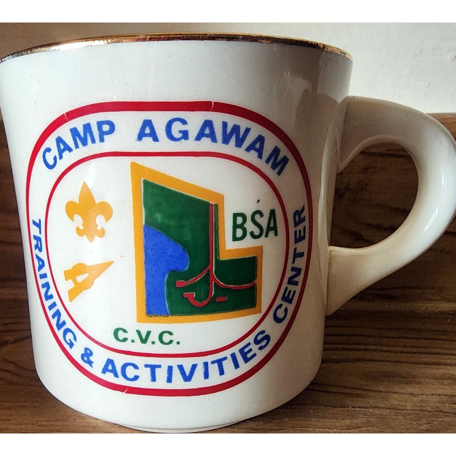 Vintage Boy Scouts of America Camp Agawam Training &amp; Activities CVC Mug ... - $9.47