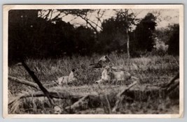 Lion Lioness Resting in Field RPPC Postcard A26 - £7.24 GBP