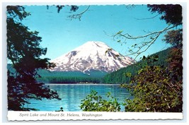 Spirit Lake Mount St Helens WA Landscape Postcard - $7.00