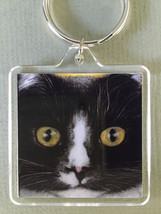 Square Cat Art Keychain - Homer Close - $8.00