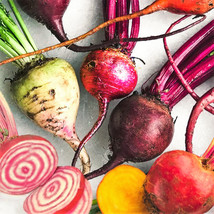 KKG Rainbow Mix Beet Seeds 5 Species Color Blend Radish Turnip Vegetable... - $7.89