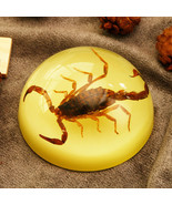 Real Insect Specimens Luminous Resin Spider Bee Beetle Hemisphere Ornaments - £26.68 GBP