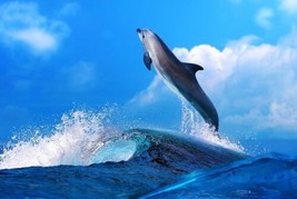 Fun s Art Wall Decor Dolphin Ocean Sea Waves Painting Printed canvas Giclee - £7.58 GBP+