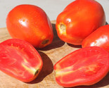 Fresh 50 Seeds Yaqui Tomato Vegetable Fast Shiping - $6.90