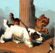 Sidney Squires &amp; Co Automatic Sofa Bed Terrier Chasing Rat Victorian Trade Card  - £29.28 GBP