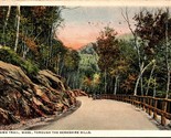 Through Berkshire Hills Mohawk Trail MA Massachusetts WB Postcard L8 - $2.63