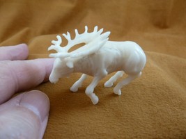 tb-elk-4 little white buck Elk Tagua NUT palm figurine Bali carving Moos... - $54.69