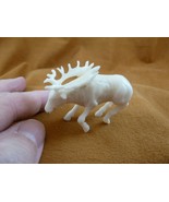 tb-elk-4 little white buck Elk Tagua NUT palm figurine Bali carving Moos... - £43.34 GBP