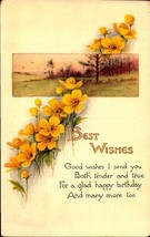 A Happy Birthday - The Pink of Perfection - Poem and Flowers 1913 postcard bkC - £3.95 GBP