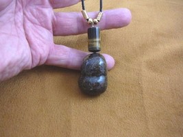 PP31-132 Real MOOSE POOP doo doo nugget + brown Tiger&#39;s eye bead 20&quot; NECKLACE - £17.62 GBP