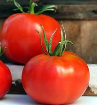 Tomato, Marglobe Tomato Seeds 100 Seed Pack,Organic, Usa Product. Packed By Jaco - £3.56 GBP
