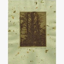 TREE TOPS original hand printed zinc plate aquatint etching on handmade paper - £23.72 GBP