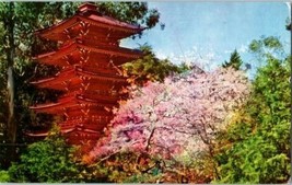 Japanese Tea Garden San Francisco California Postcard Posted 1957 - £5.81 GBP