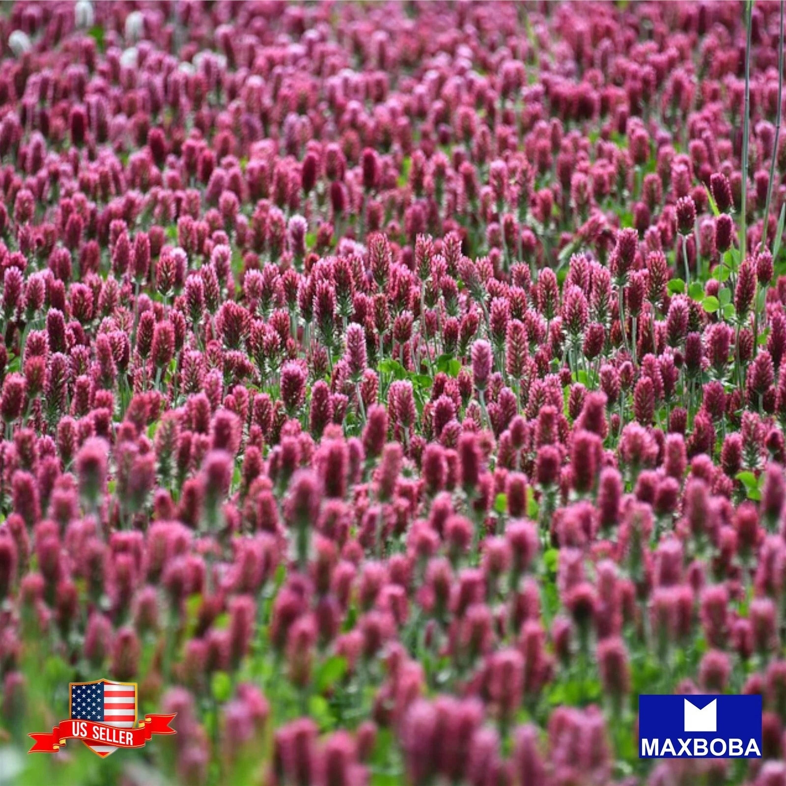 Item image 1 image 1